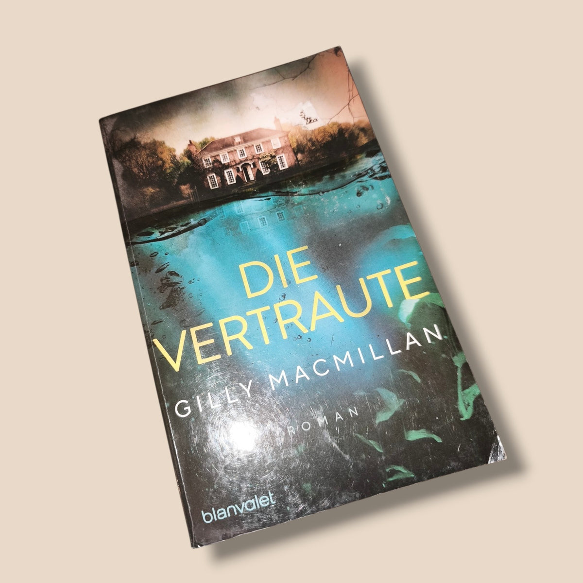 Gilly Macmillan - Die Vertraute