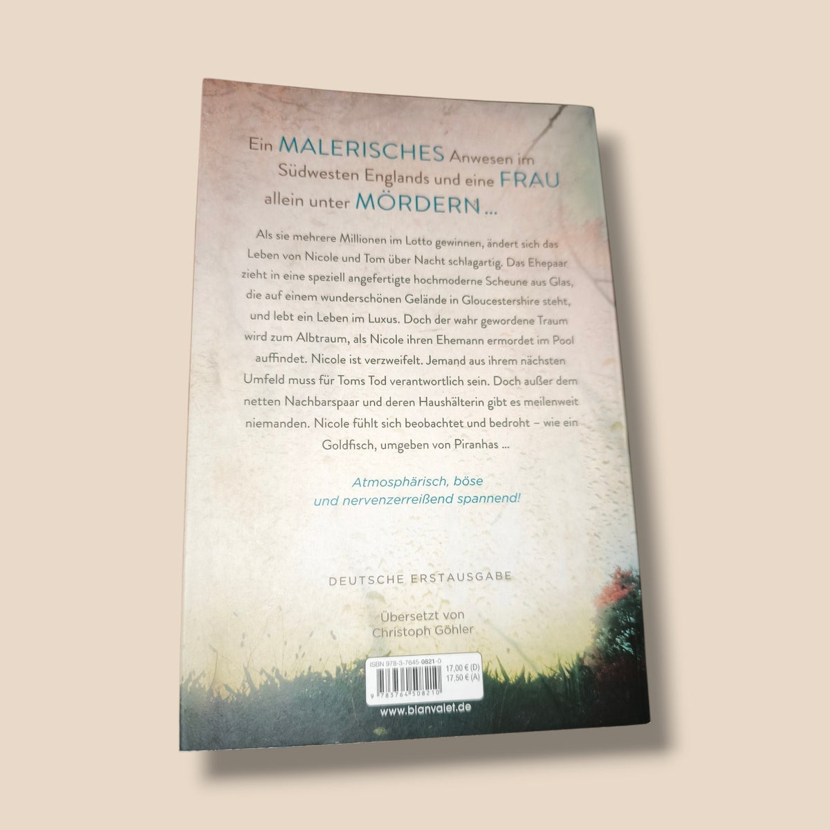 Gilly Macmillan - Die Witwe