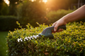 Bosch EasyShear Lifestyle