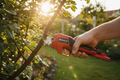 Einhell Astschere Lifestyle 3:2